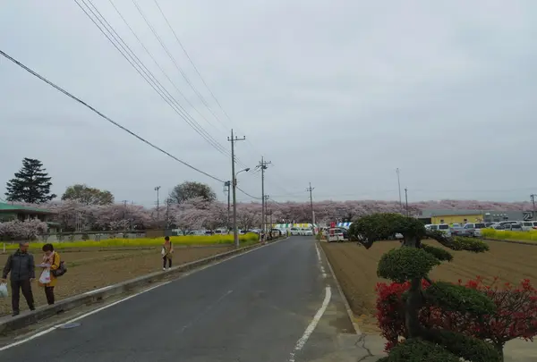 近づいてくる幸せの色！