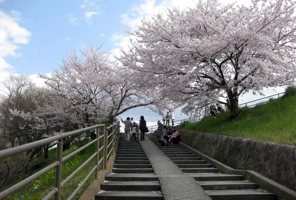 草津川緑地へは…