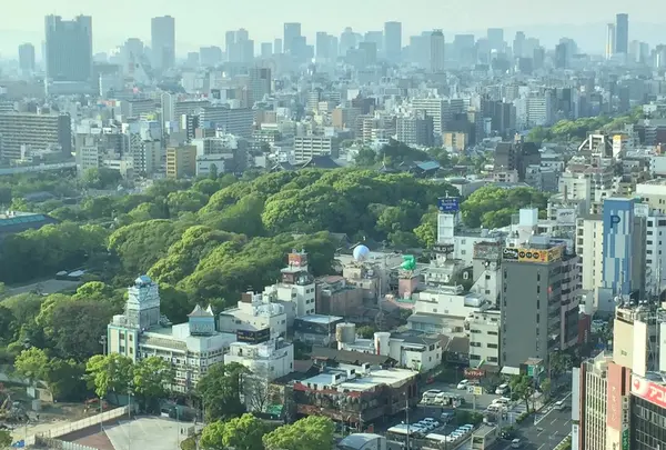 ハルカス300からみると