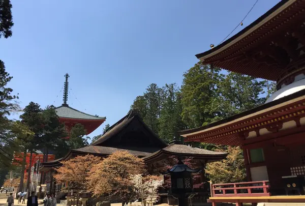 壇上伽藍