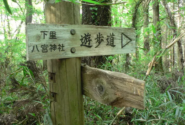 仙元山の写真・動画_image_30559