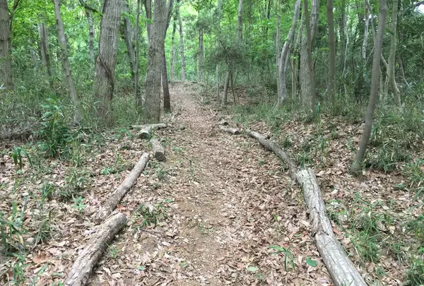 緑に囲まれたかつての城址