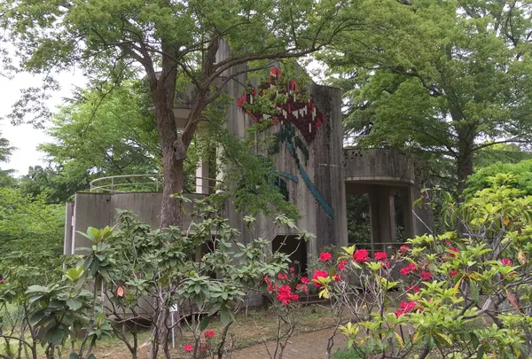 立ち止まっても、歩きながらでも