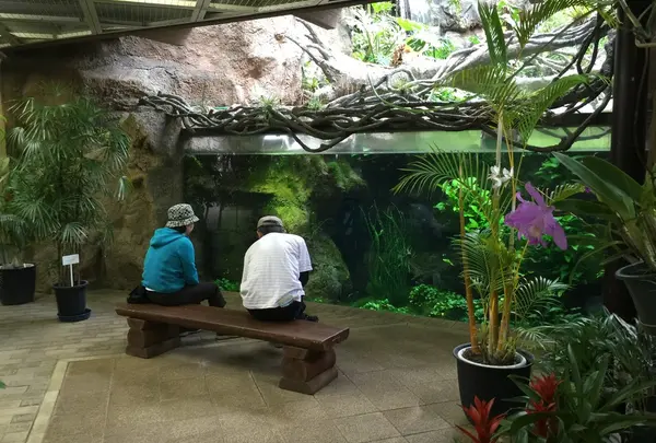 園内にある熱帯植物館①