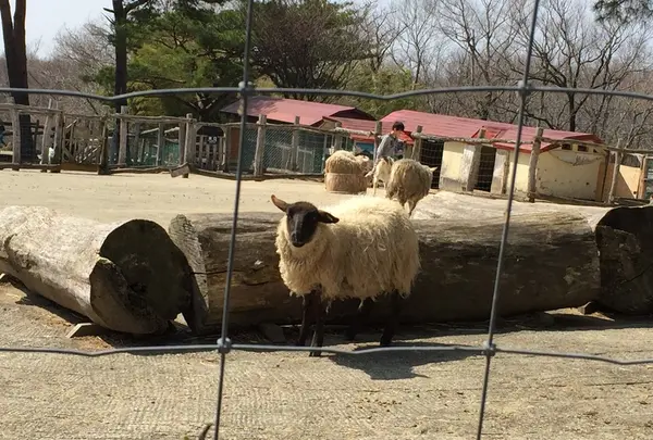 いろーんな動物がいます。
