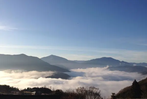 【閉業】UB1の写真・動画_image_35349