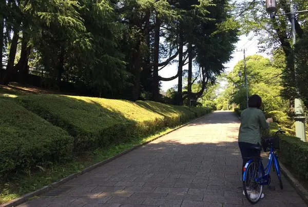 八幡山公園の写真・動画_image_36177
