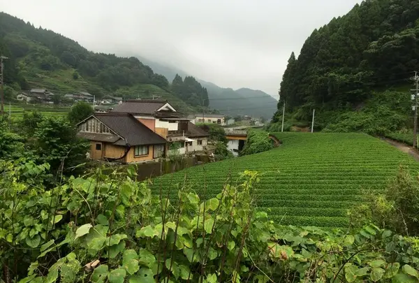 不動山