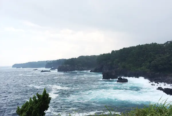 城ヶ崎海岸の写真・動画_image_42504