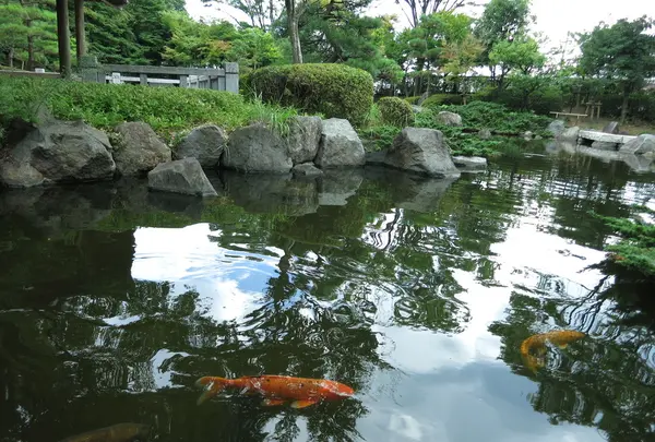 県立大磯城山公園の写真・動画_image_43492