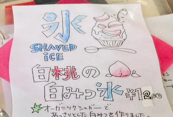 bibliotic helloの写真・動画_image_450652