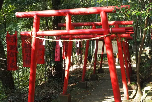 狸福神社（りふくじんじゃ）