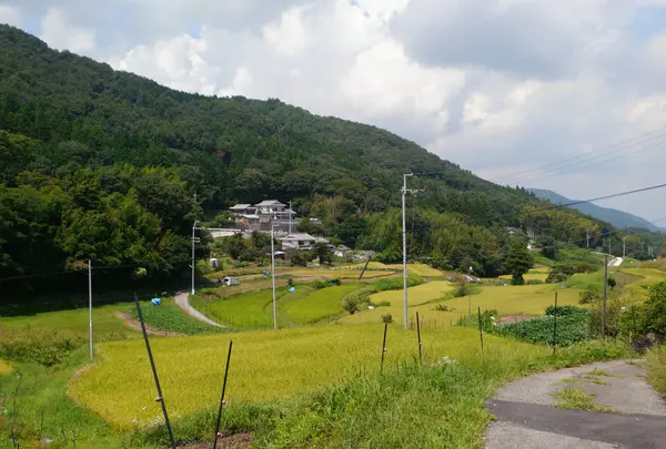 ほのぼの風景