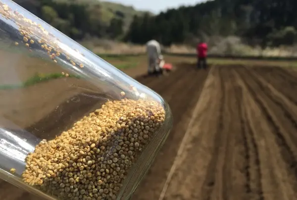 上野原市の写真・動画_image_53918