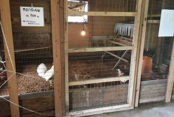 北坂養鶏場の写真・動画_image_58567
