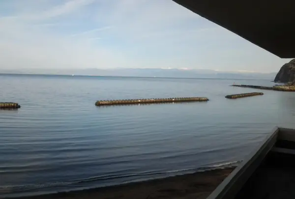 大江戸温泉物語土肥マリンホテルの写真・動画_image_58635