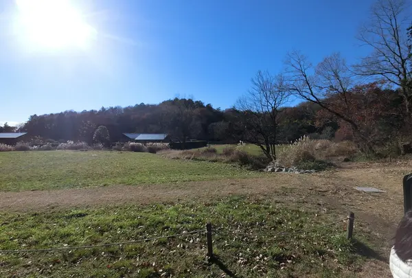 宮野入谷戸