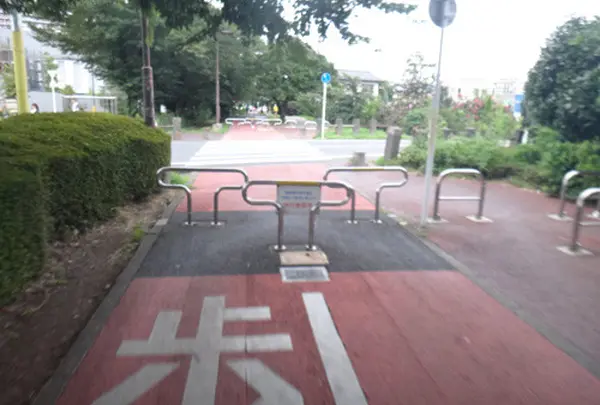 保谷狭山自然公園自転車道の写真・動画_image_62445