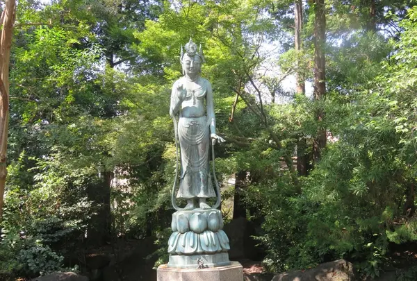 世田谷山観音寺の写真・動画_image_69852