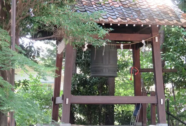 世田谷山観音寺の写真・動画_image_69860