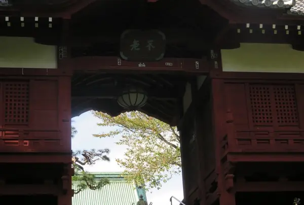 護国寺の写真・動画_image_69954