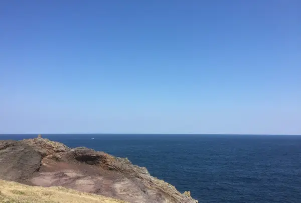 日本海を一望する景色は雄大