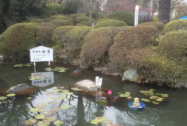 ここでも投げる