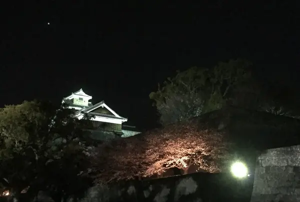 熊本城と桜