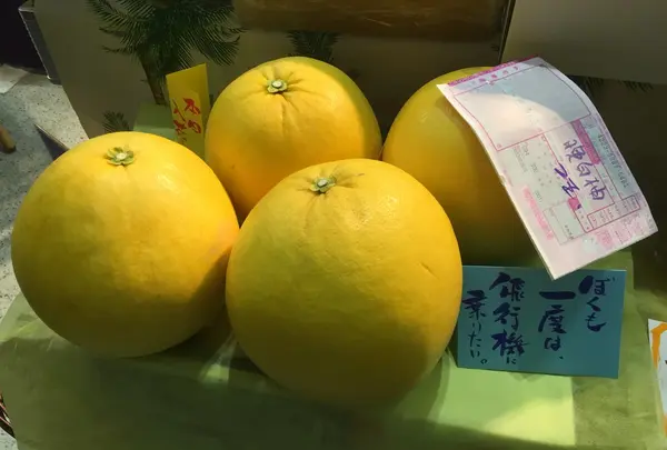ばんぺいゆがわがまま言っています（笑）