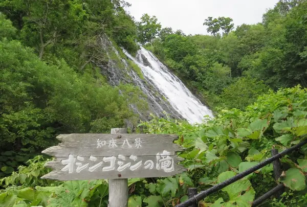 オシンコシンの滝の写真・動画_image_72145