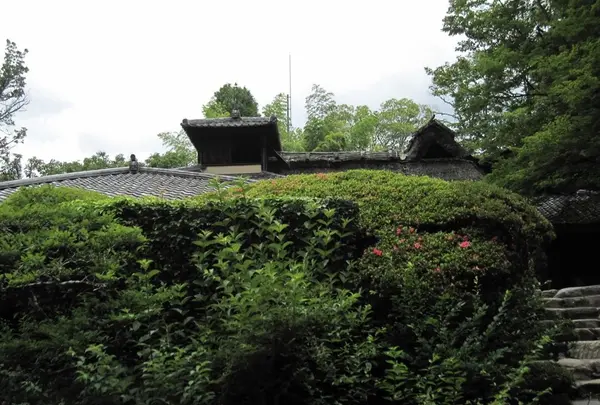 詩仙堂丈山寺の写真・動画_image_72258