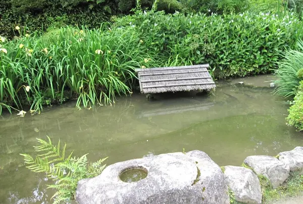 詩仙堂丈山寺の写真・動画_image_72263