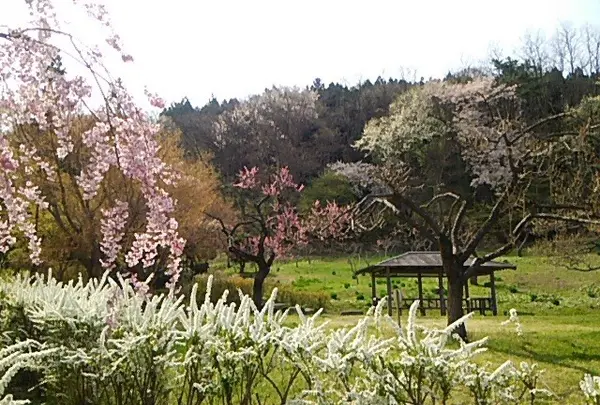 東屋でひと休み
