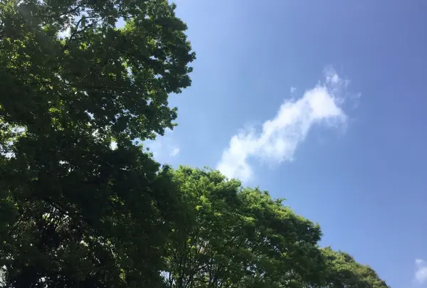 国立科学博物館附属自然教育園の写真・動画_image_76801