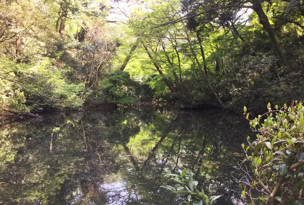 国立科学博物館附属自然教育園の写真・動画_image_76807