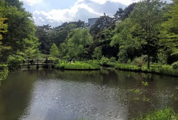 国立科学博物館附属自然教育園の写真・動画_image_76808