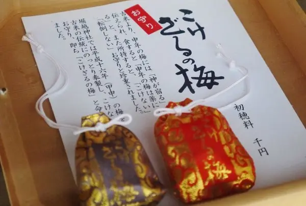 申年の梅のパワー！