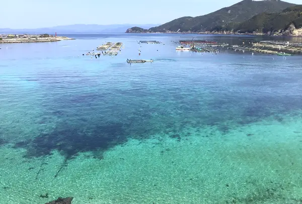 柏島