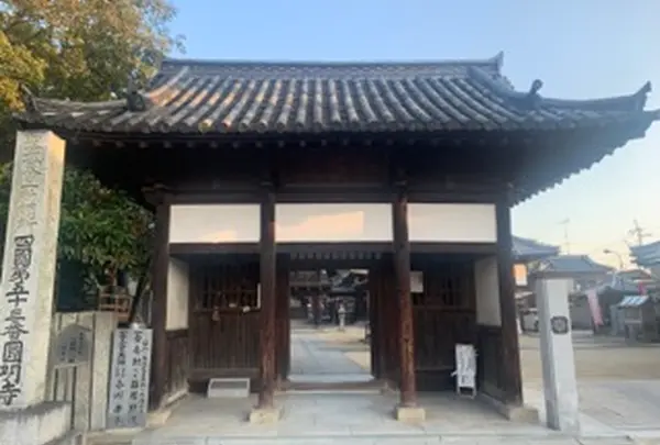 圓明寺の写真・動画_image_1146433