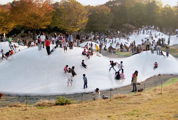 国営昭和記念公園