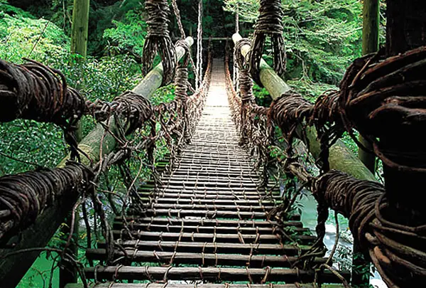 祖谷のかずら橋