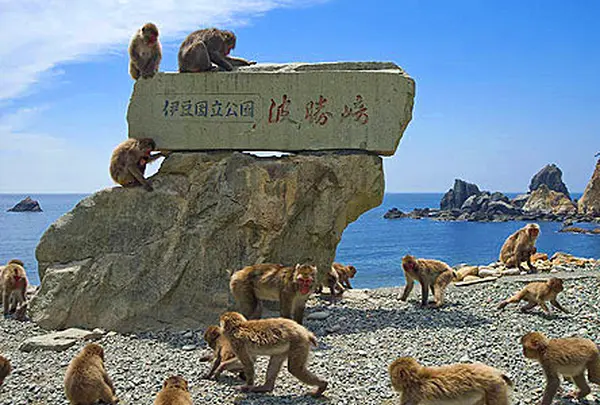 波勝崎苑