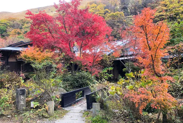 和の花