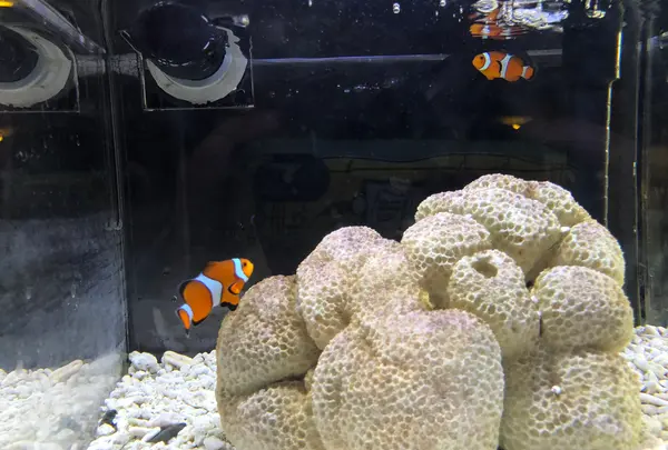 京都水族館