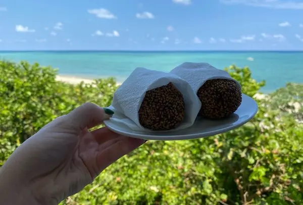 海美来