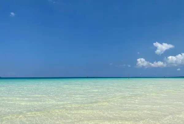 渡口の浜の写真・動画_image_1265868