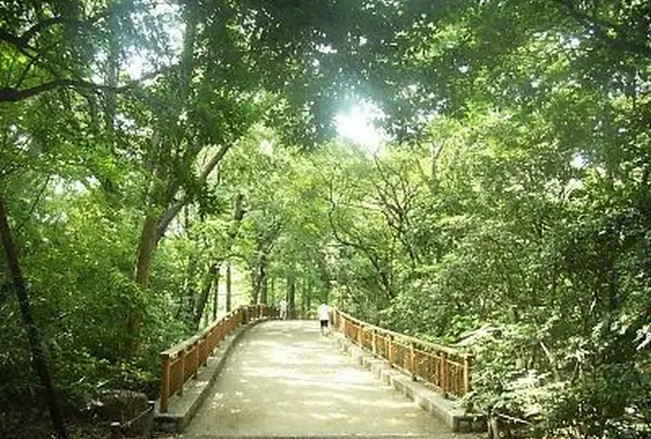 都立林試の森公園