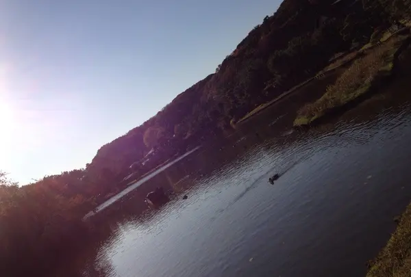 三溪園の写真・動画_image_126811