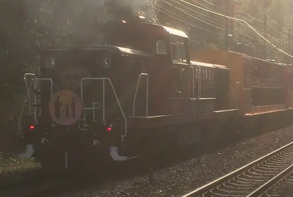 嵯峨野トロッコ列車
