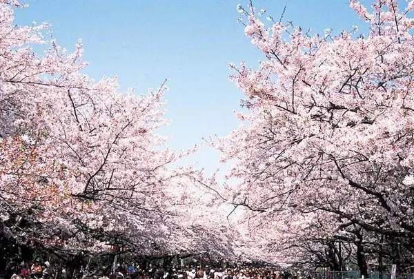 上野恩賜公園